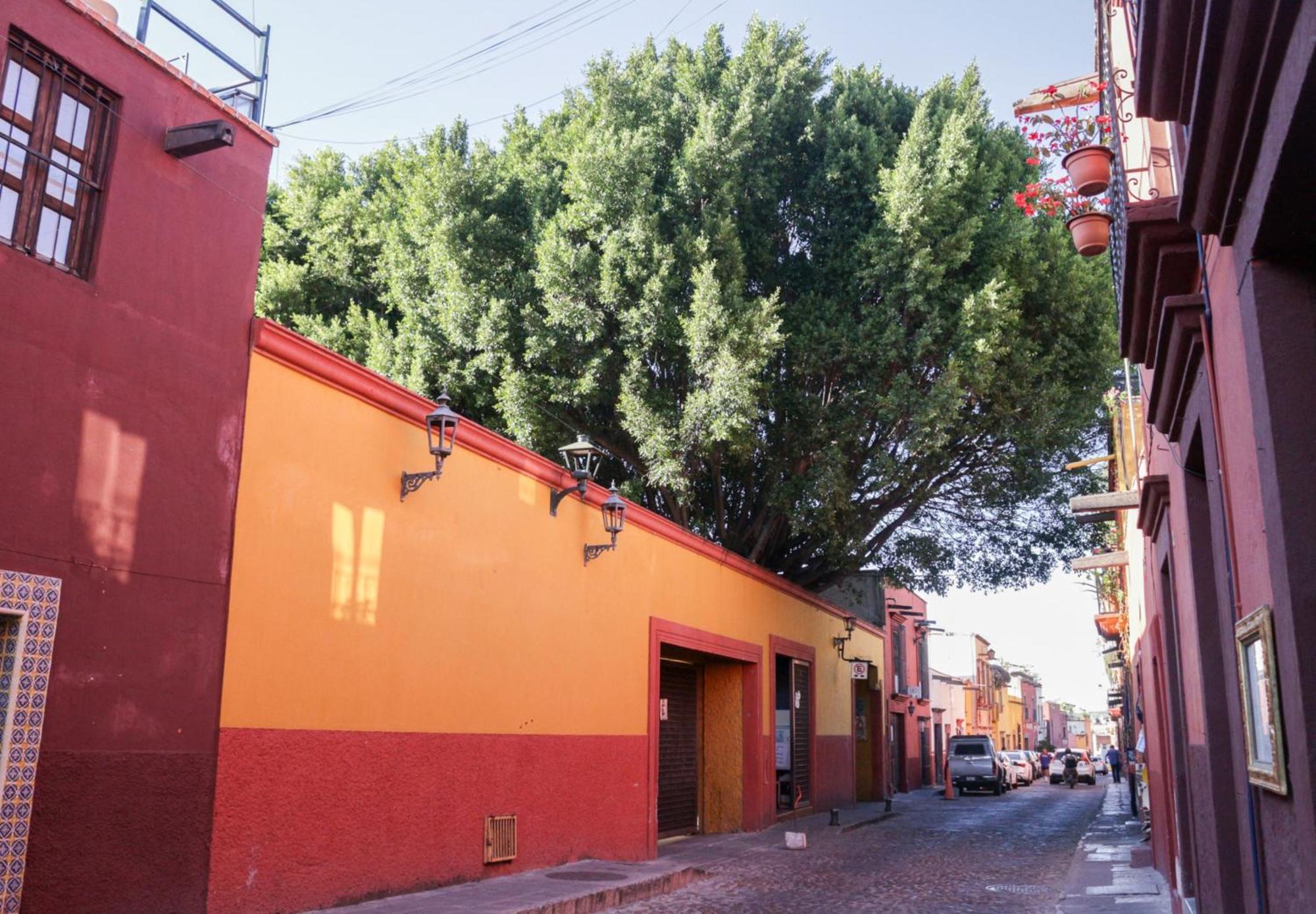 Hotel Casa Relox 43 à San Miguel de Allende Extérieur photo